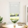 Plisovaná roleta světle šedá 60x150 cm Šířka látky 59,4 cm 4015339