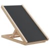 Rampa pro psy šedá 70 x 35 cm masivní jedlové dřevo 172418