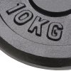 Kotouče na činky 2 ks 2x 10 kg litina 91394