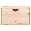 Nástěnná skříňka 60 x 30 x 35 cm masivní borové dřevo 818350