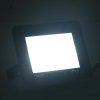 LED reflektory 2 ks 50 W studené bílé světlo 149621