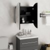 Koupelnová skříňka s kulatým zrcadlem a LED černá 47x47x17,5 cm 345584