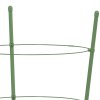 Opory pro zahradní rostliny se 3 kroužky 5 ks zelené 45 cm ocel 319372