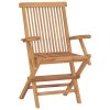 Zahradní židle s šedými poduškami 2 ks masivní teak 3062503