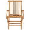 Zahradní židle s šedými poduškami 2 ks masivní teak 3062503
