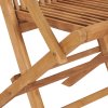 Zahradní židle s šedými poduškami 2 ks masivní teak 3062503