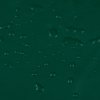 Plachta zelená 4 x 4 m 650 g/m² 156136