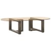 Nohy konferenčního stolku ve tvaru T, 2 ks, černé, 60 x 25 x (30-31) cm, ocel 4013015