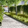 Trávníkové obruby 50 ks Olivově zelené 100x0,5x20 cm Ocel 3335777