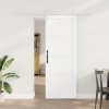 Posuvné dveře s příslušenstvím Bílá 73.5x198.5 cm Masivní dřevo Borovice 3333691