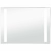 Koupelnové nástěnné zrcadlo s LED osvětlením 100 x 60 cm 144707