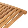 Zahradní lehátko masivní teak 316151