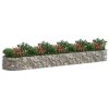 Gabionový vyvýšený záhon pozinkované železo 500 x 100 x 50 cm 152043