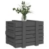 Úložný box šedý 58 x 40,5 x 42 cm masivní borové dřevo 824995