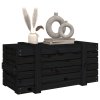 Úložný box černý 91 x 40,5 x 42 cm masivní borové dřevo 825002