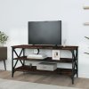 TV skříňka kouřový dub 100 x 40 x 50 cm kompozitní dřevo 825794
