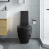 Keramické WC zadní odpad černé 140298