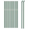 Drátěné pletivo zelené 1 x 25 m 153913