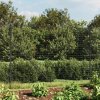 Drátěný plot s přírubami antracitový 1,6 x 25 m 154300