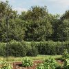 Drátěný plot s přírubami antracitový 2 x 25 m 154302