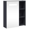 Koupelnová zrcadlová skříňka s LED osvětlením šedá 45x13x52 cm 357966