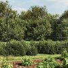 Drátěný plot s přírubami antracitový 1,8 x 25 m 154317