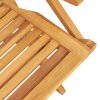 Skládací zahradní židle 2 ks 56x63x90 cm masivní teakové dřevo 362756