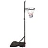 Basketbalový koš s průhlednou deskou 216 x 250 cm polykarbonát 93657