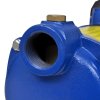 Proudové čerpadlo 1 300 W 5 100 l/h modré 141598