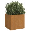 Truhlíky 2 ks 32 x 30 x 29 cm cortenová ocel 821548