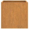 Truhlíky 2 ks 32 x 30 x 29 cm cortenová ocel 821548