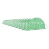 Skleník s ocelovým rámem zelený 96 m² 24 x 4 x 2 m 3188071