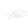 Skleník s ocelovým rámem bílý 48 m² 12 x 4 x 2 m 3188076