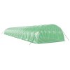 Skleník s ocelovým rámem zelený 80 m² 20 x 4 x 2 m 3188069