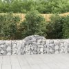 Klenuté gabionové koše 20 ks 200x30x60/80 cm pozinkované železo 3146083