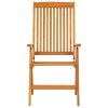 Skládací zahradní židle 2 ks masivní eukalyptové dřevo 316069