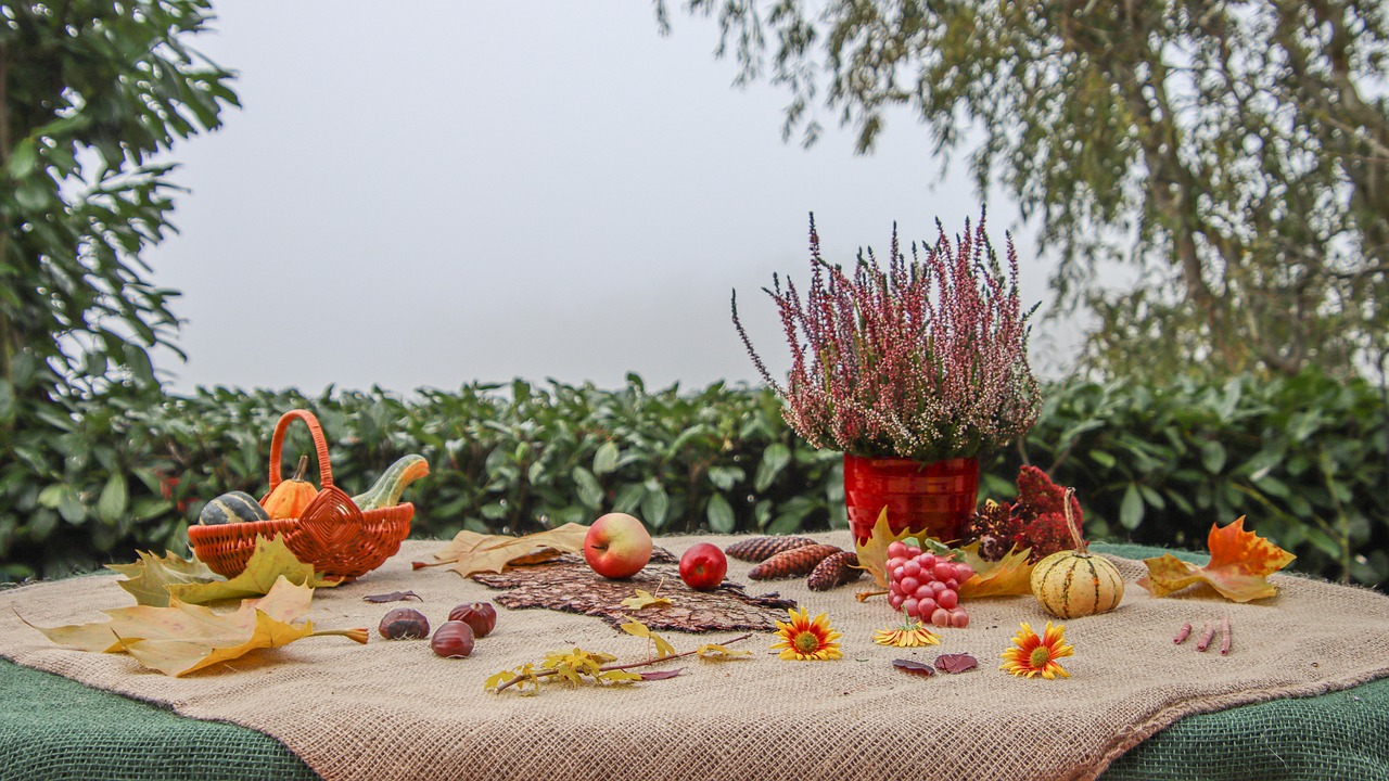 autumn-4644800_1280