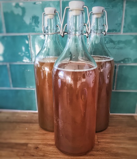 kombucha-1074594_1280