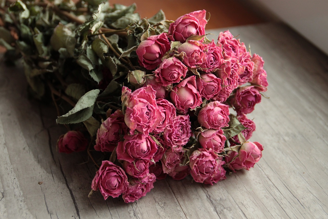 pink-4827142_1280