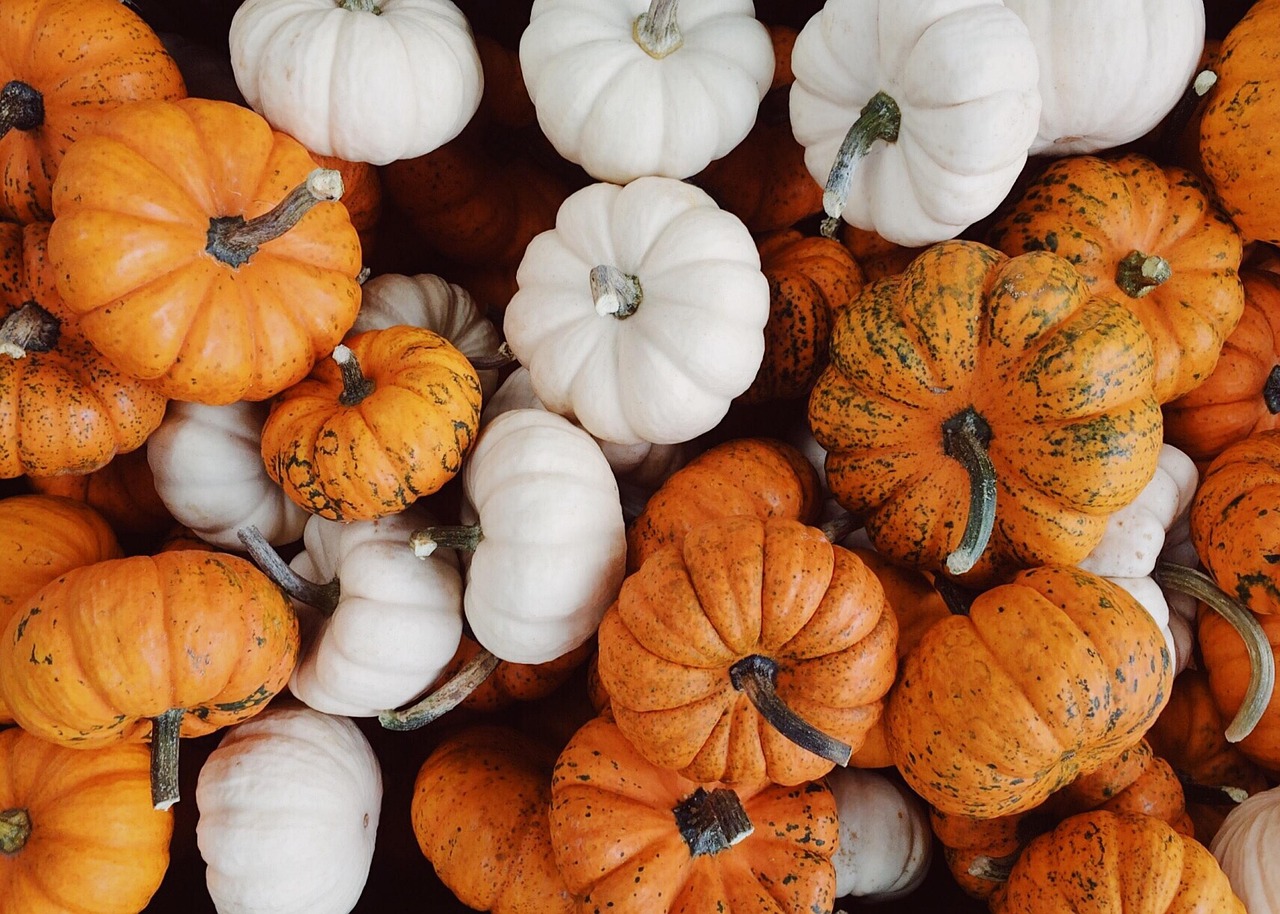 vegetable-2855925_1280