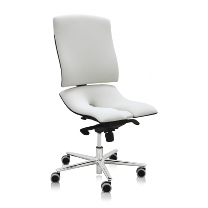 Zdravotní židle Steel Standard, bílá