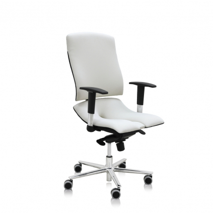 Zdravotní židle Steel Standard+, bílá