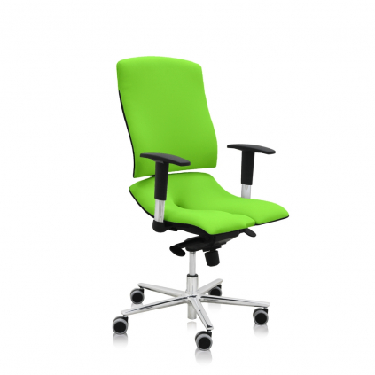 Zdravotní židle Steel Standard+, zelená