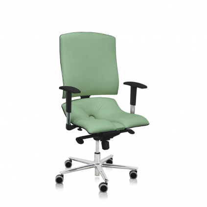 Zdravotní židle Steel Standard+ II, zelená