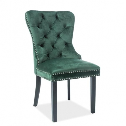 Jídelní židle August Velvet, zelená / černá