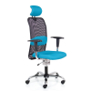 Zdravotní židle Techno Flex XL, modrá / černá
