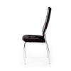 Jídelní židle Darwin, černá / stříbrná