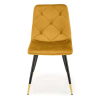 Jídelní židle Pascal, žlutá / černá