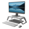 Stojan na monitor Fellowes HANA LT, bílá