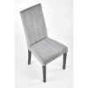 Jídelní židle Diego 2, šedá / černá
